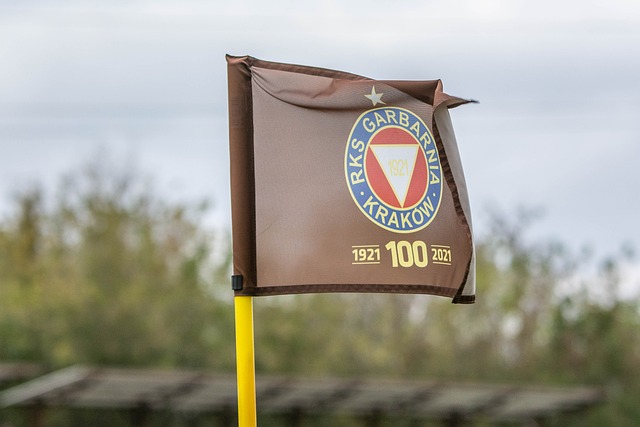 巨大挑战 巨大挑战