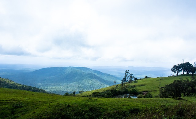 现的案例不 现的案例不