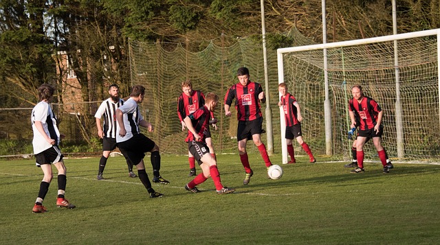 业发展路径 业发展路径