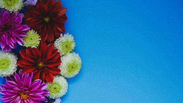 于其未来动 于其未来动