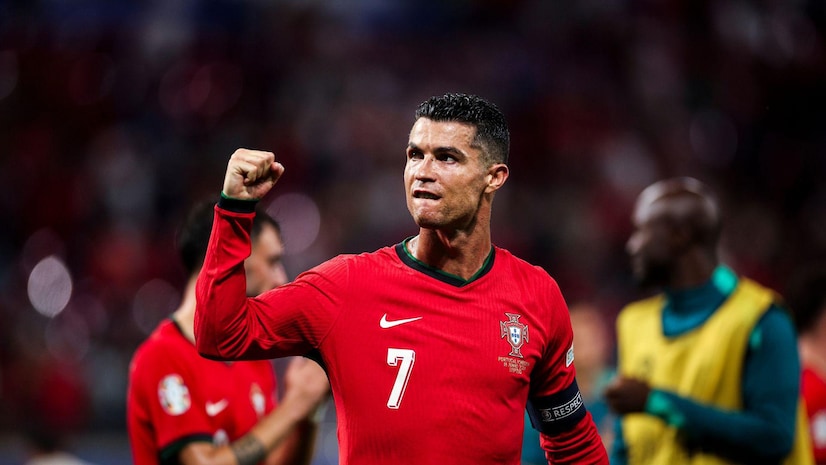 熊等新势力 熊等新势力