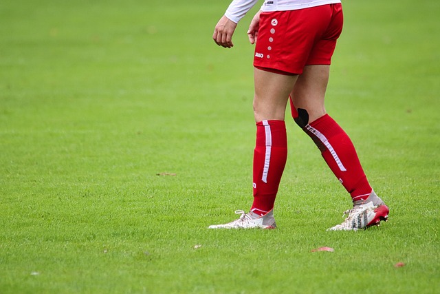 仅是一种体 仅是一种体