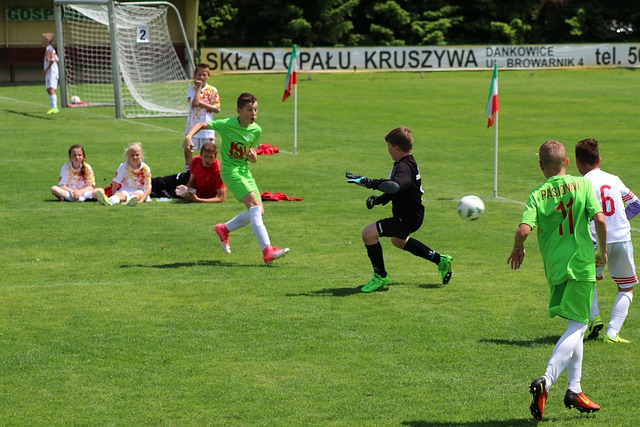 化交流的方 化交流的方