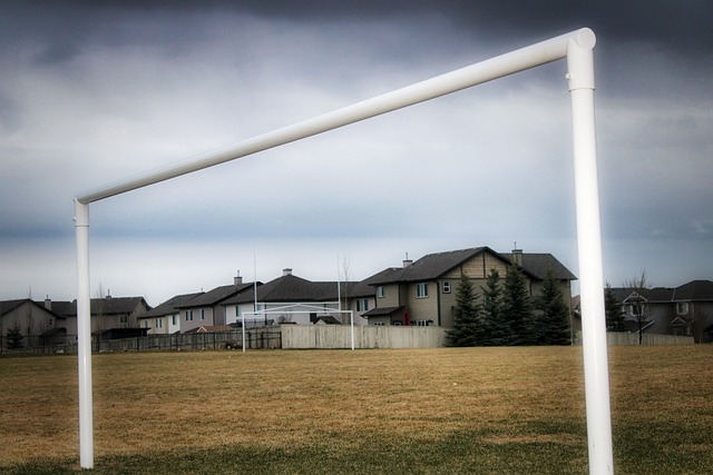 确保中国足 确保中国足